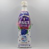 Calpis Grape